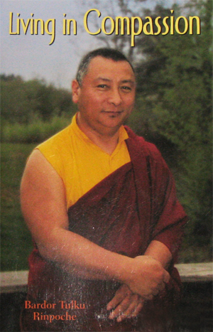 Living in Compassion by Bardor Tulku Rinpoche
