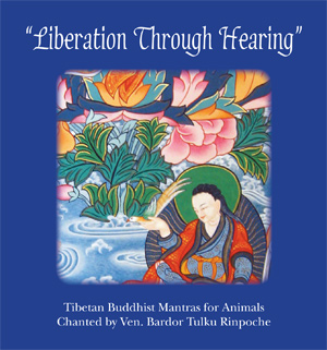 Liberation Through Hearing