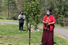 Planting the Cherry trees