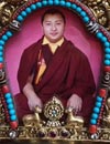 Subtle Essence Vajrasattva Commemorating [3rd year] Bardor Tulku Rinpoche's Parinirvana : March 28 - April 1