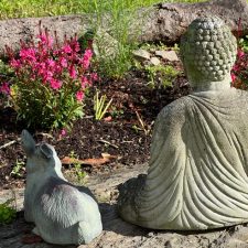 Monday Shamatha Meditation via Zoom